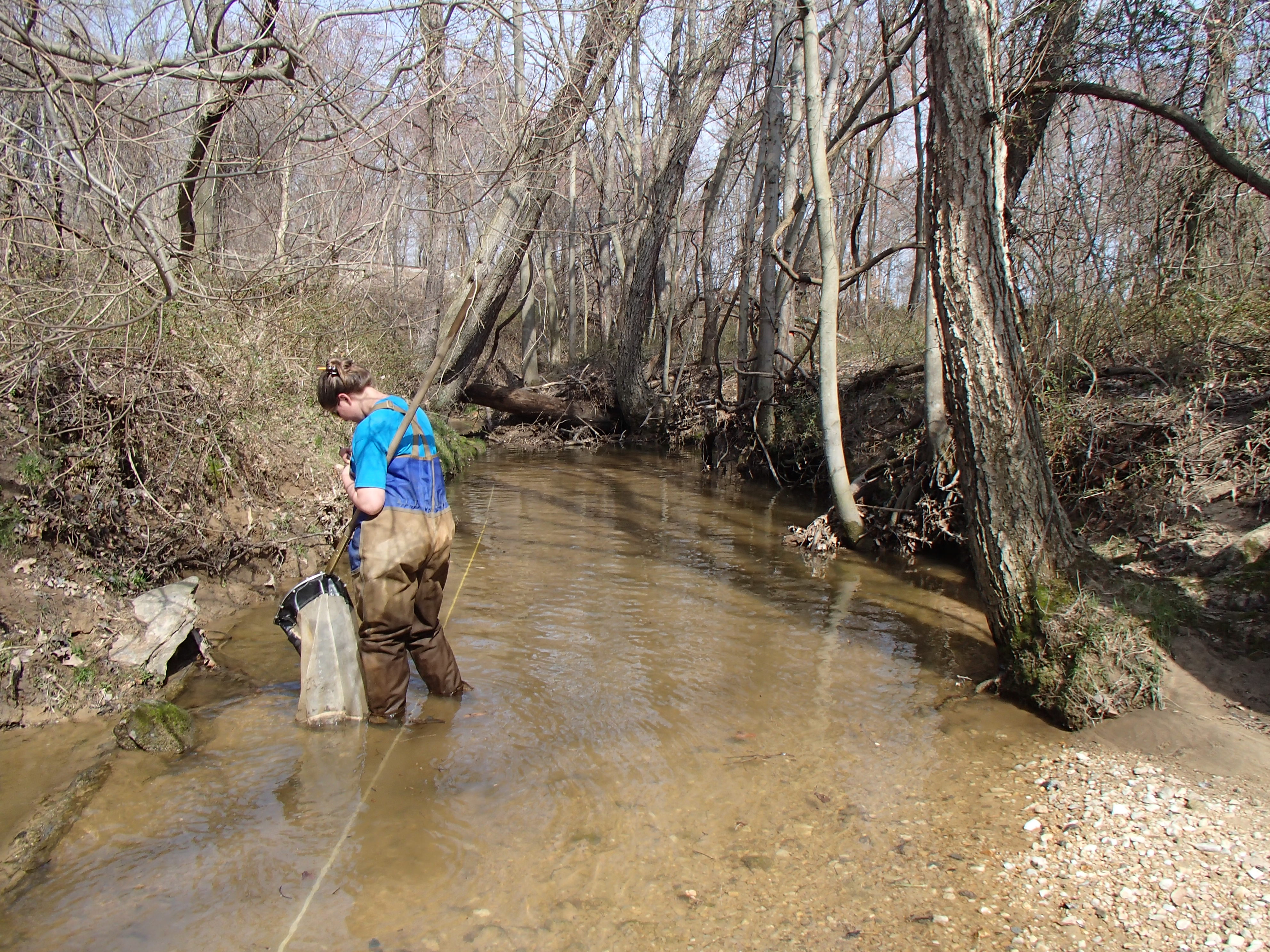 Field photo showing stream conditions at site CHRI-105-R-2016_midpoint downstream